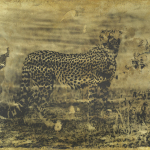 Cheetah Photine II