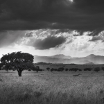 Apoka Landscape