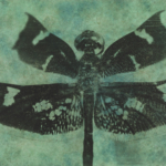 Dragonfly Photine