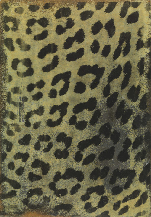 Leopard Skin