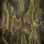 Python Skin Pian