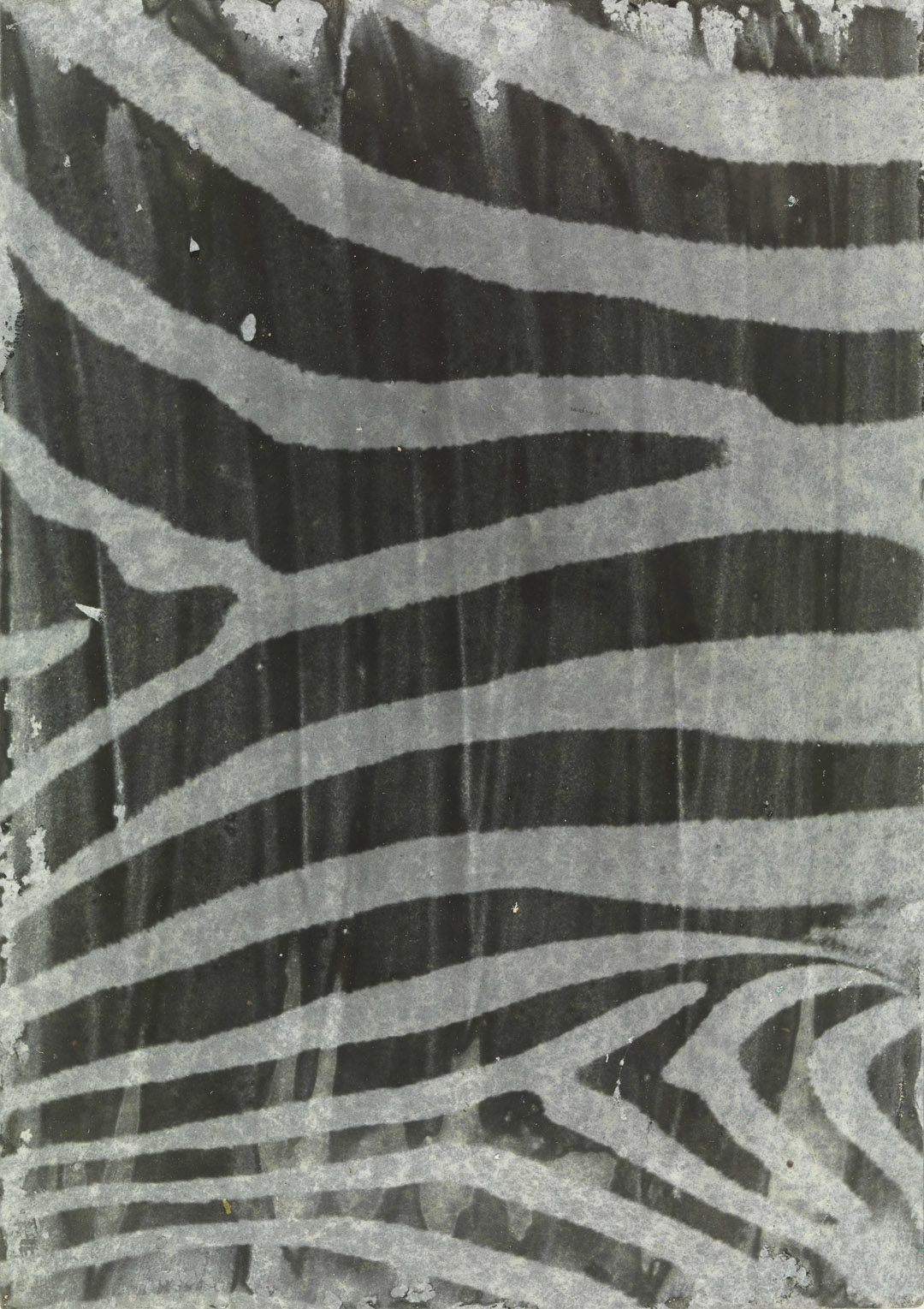 Zebra Skin