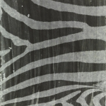 Zebra Skin Photine