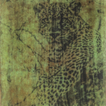 Ishasha Leopard Photine