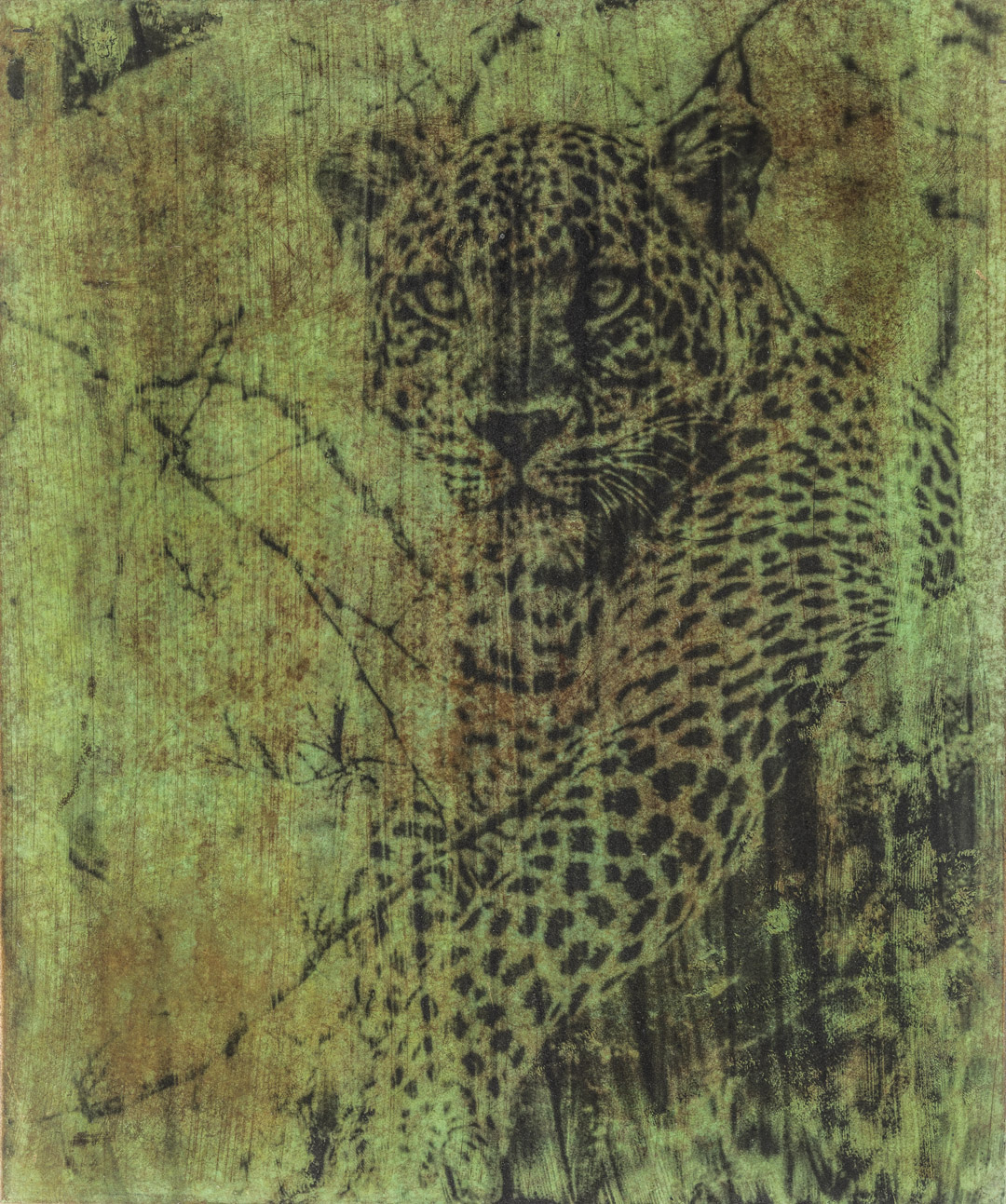 Ishasha Leopard Photine | Steve Russell Gallery