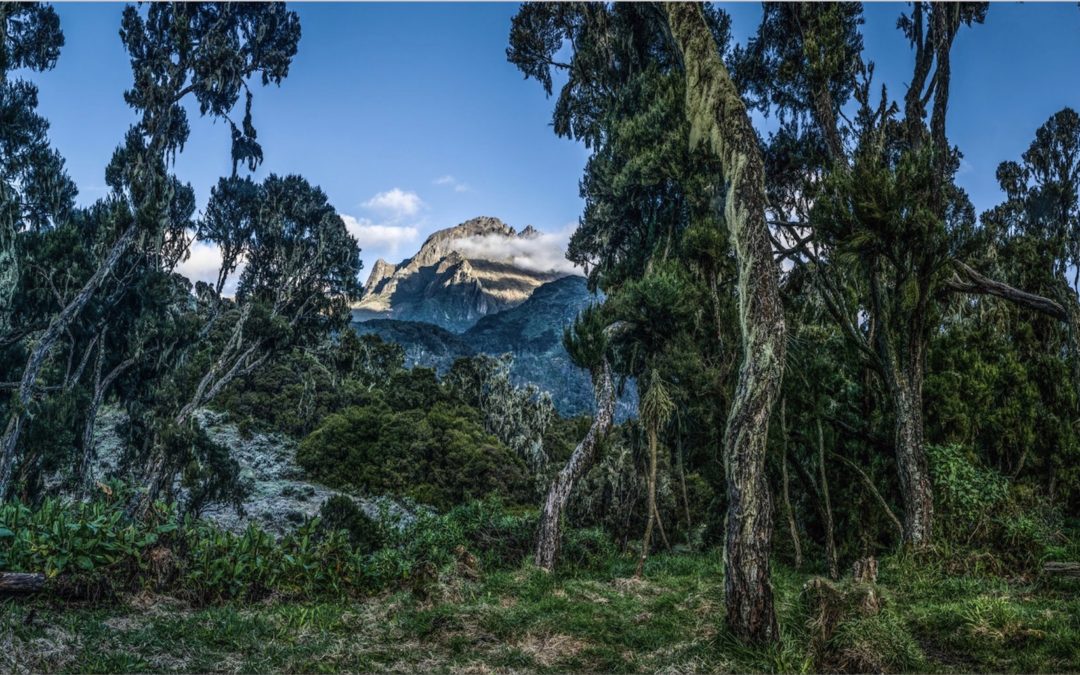 Mountains of the Moon | A Photographic Exploration of the Rwenzori Mountains