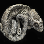 Contorted Chameleon